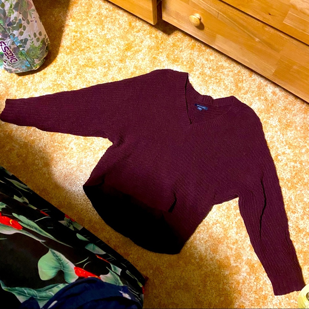 AEO Burgundy Chenille v-neck crop sweater
